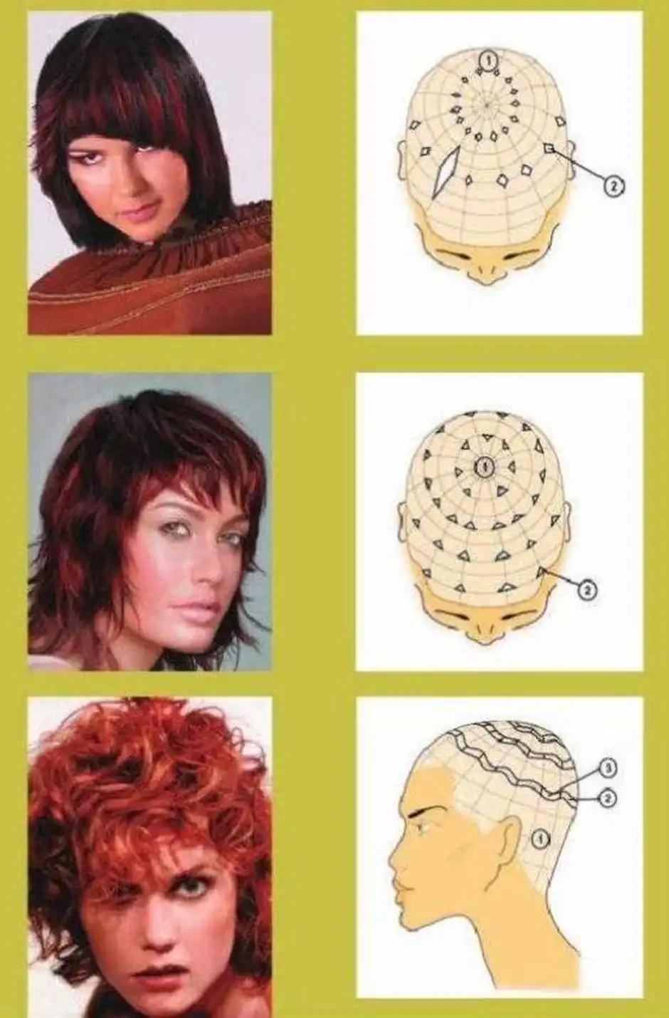 Схема колорирования волос