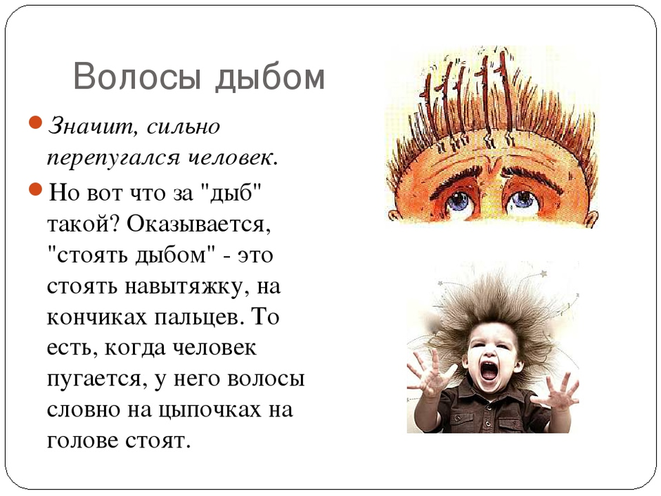 Как пишется волос. Волосы дыбом фразеологизм. Происхождение фразеологизма волосы дыбом. Волосы встали дыбом значение фразеологизма. Волосы встали дыбом фразеологизм.