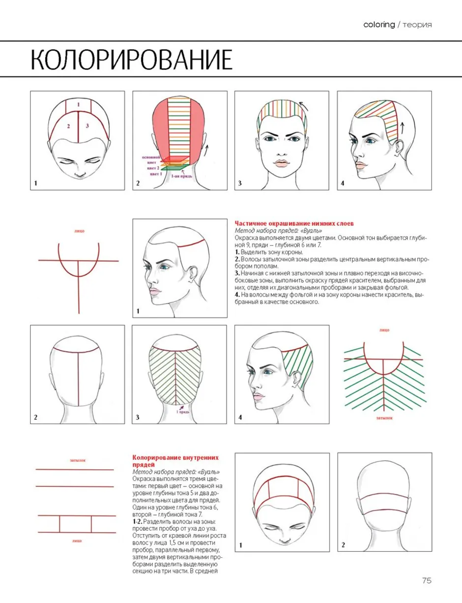 Техники мелирования схемы. Техника мелирования волос на фольгу схема. Схемы окрашивания волос колорирование. Схемы разделения волос для мелирования. Блочное окрашивание схемы.