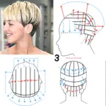 Схемы стрижек картинки