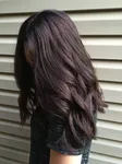 Темный холодный цвет волос фото