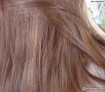 Эстель 8.65 фото на волосах